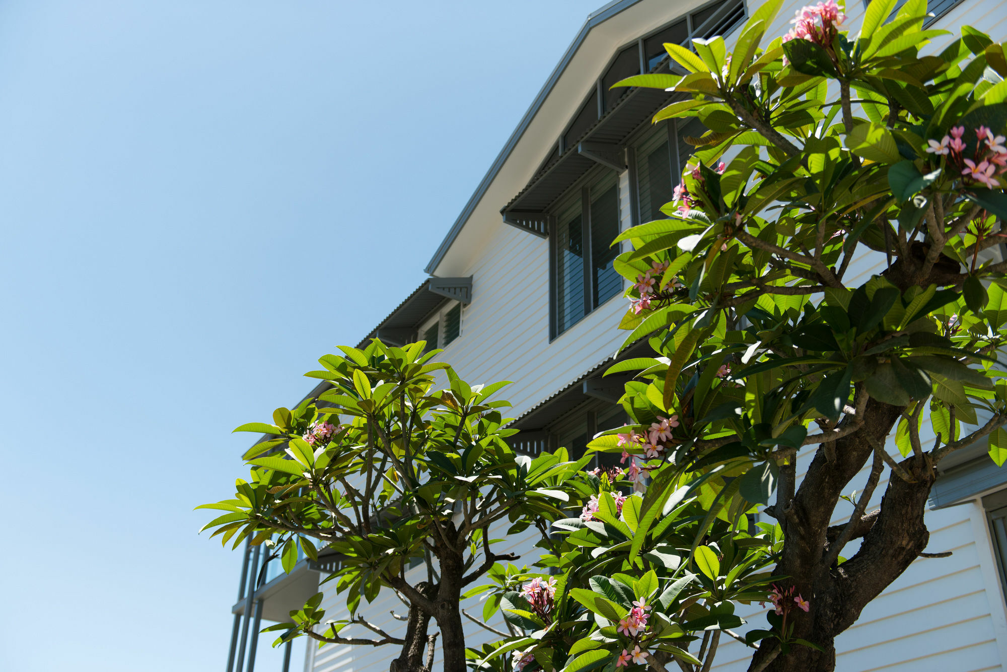 Heart Hotel And Gallery Whitsundays Airlie Beach Kültér fotó