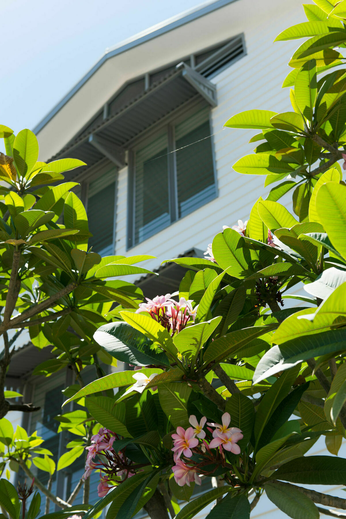 Heart Hotel And Gallery Whitsundays Airlie Beach Kültér fotó